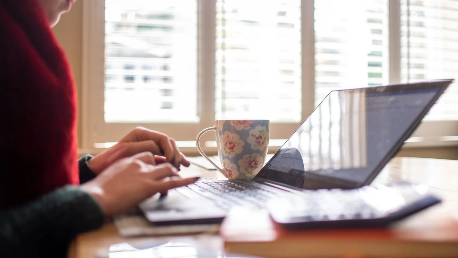 (P) Soluțiile ideale pentru lucrul de acasă: Office 2019 la 29.50 euro sau Office 2016 la 19.79 euro și Windows 10 pentru sub 10 euro