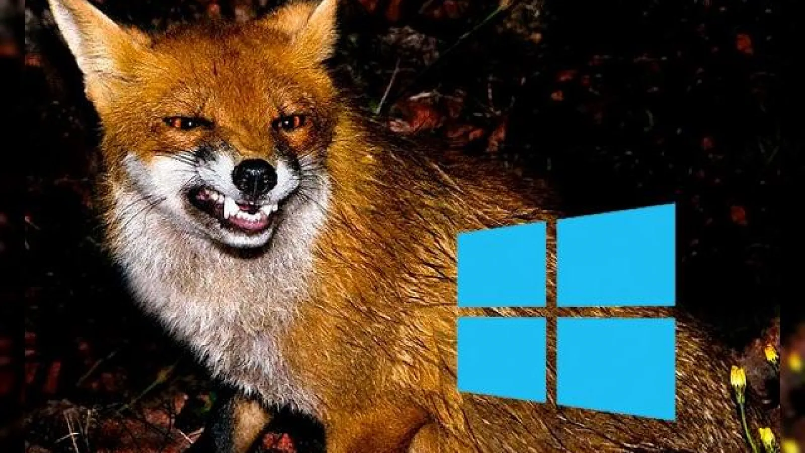 Mozilla atacă Microsoft pentru că În Windows RT nu se poate instala un alt browser cu funcționalitate maximă În afară de IE