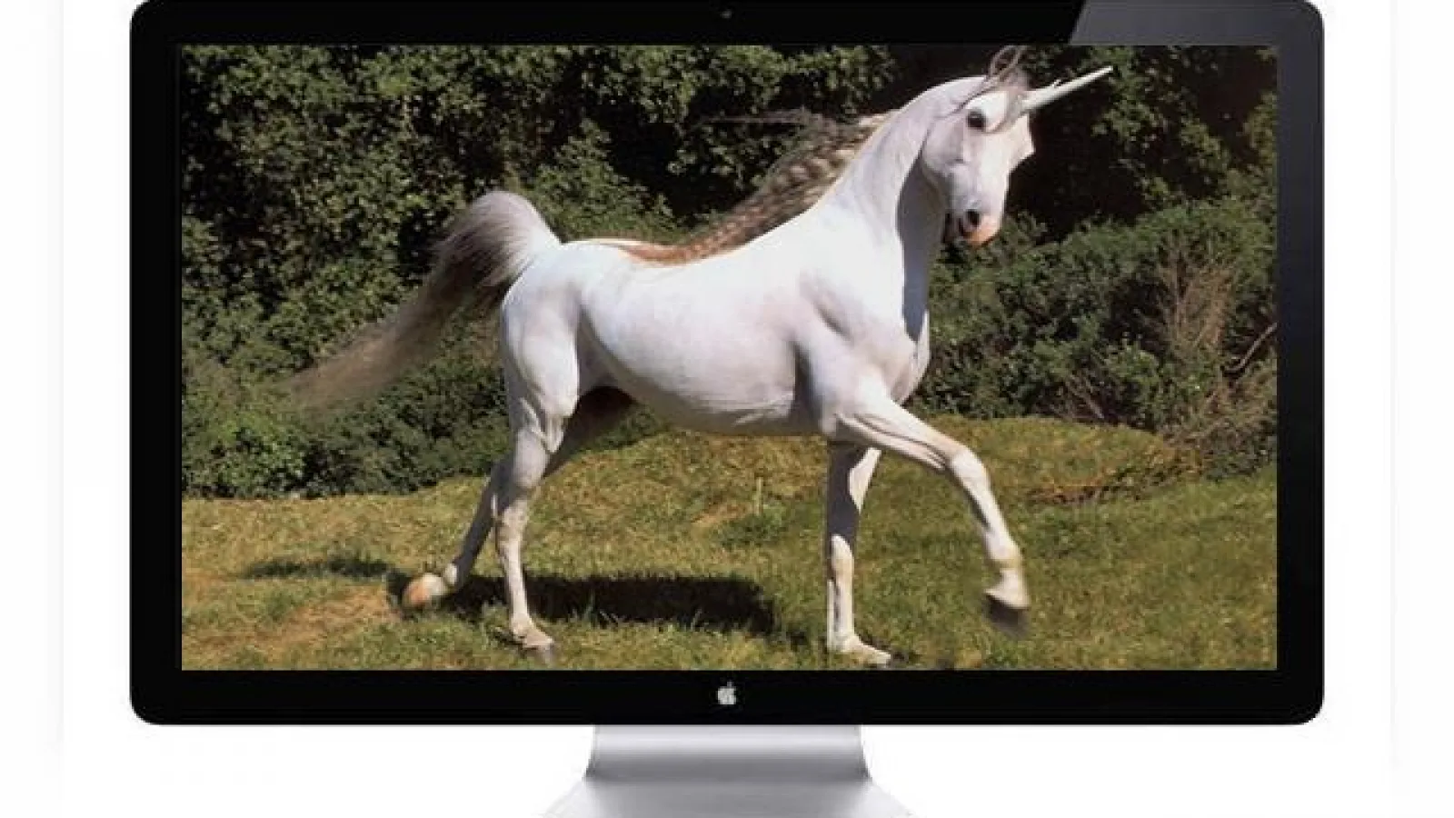 Televizorul Apple e real! Confirmat de șeful Foxconn și gata să ne schimbe sufrageriile!