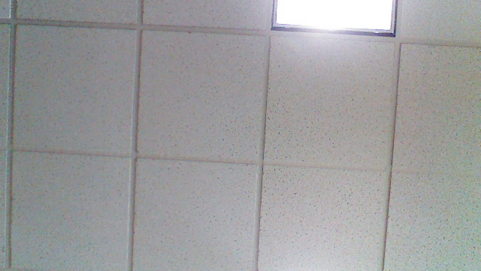 Prima fotografie făcută cu camera tabletei Google Nexus apare pe web: tavanul din sediul Google!