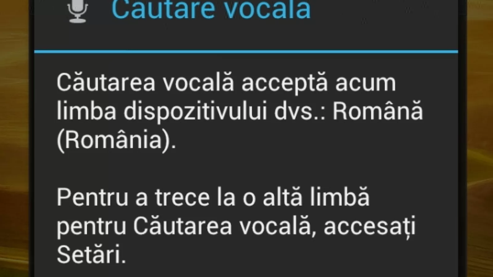 Limba română a fost adăugată În Google Voice Search și Google Now