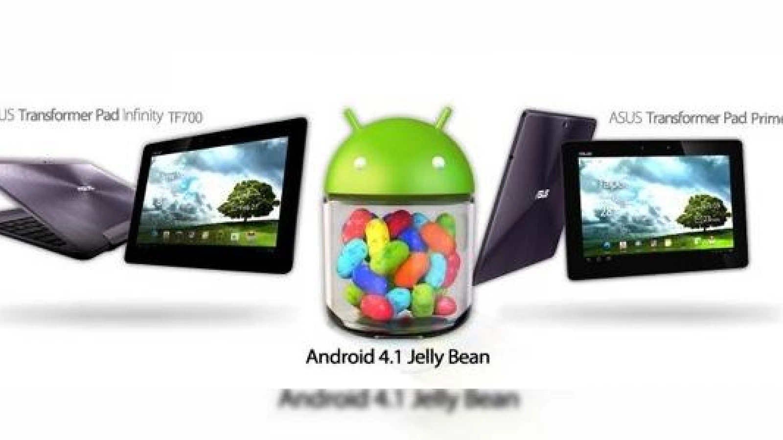ASUS Transformer Prime și Infinity Pad primesc Android 4.1 Jelly Bean În următoarele zile/ore!