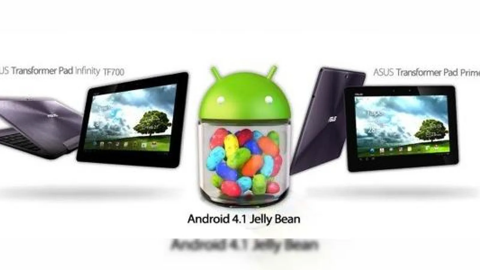 ASUS Transformer Prime și Infinity Pad primesc Android 4.1 Jelly Bean În următoarele zile/ore!