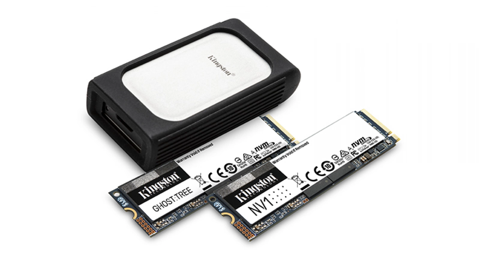 CES 2021: Kingston a prezentat noua gamă de SSD-uri NVMe - Ghost Tree, NV Series, XS2000 și DC1500M