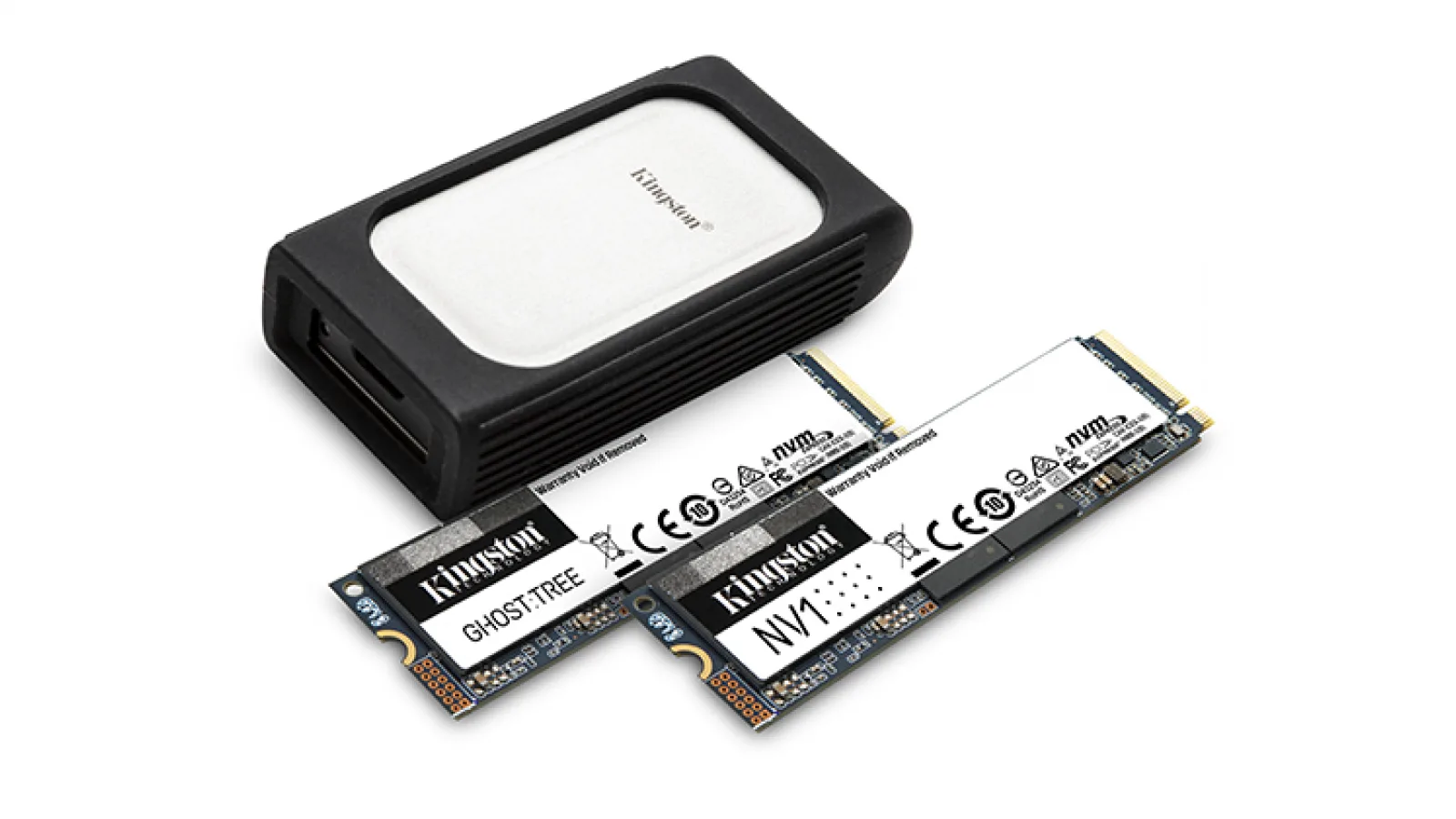 CES 2021: Kingston a prezentat noua gamă de SSD-uri NVMe - Ghost Tree, NV Series, XS2000 și DC1500M