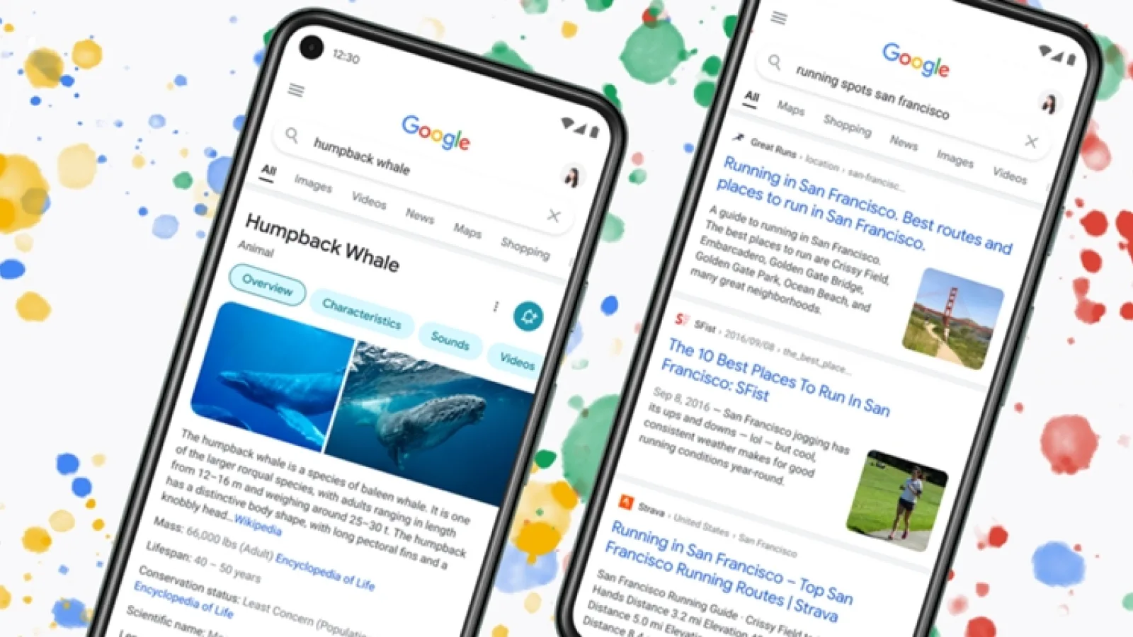 Google Search primește un nou design pe mobil; Simplitatea și eficiența sunt puse pe primul loc