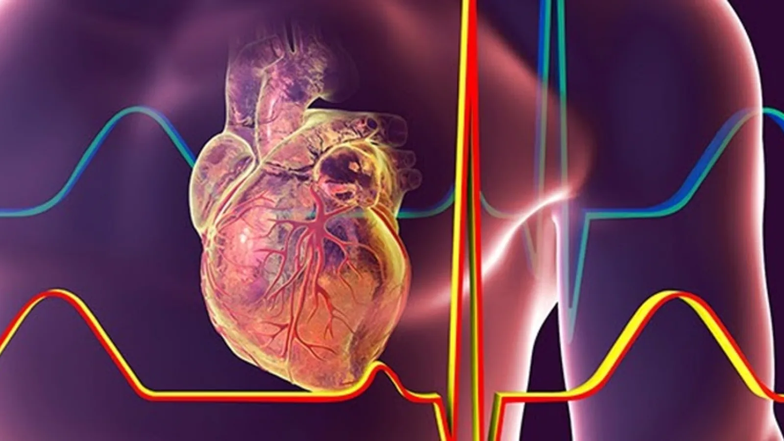 Apple lucrează la un dispozitiv care măsoară tensiunea arterială fără presiune pe braţ
