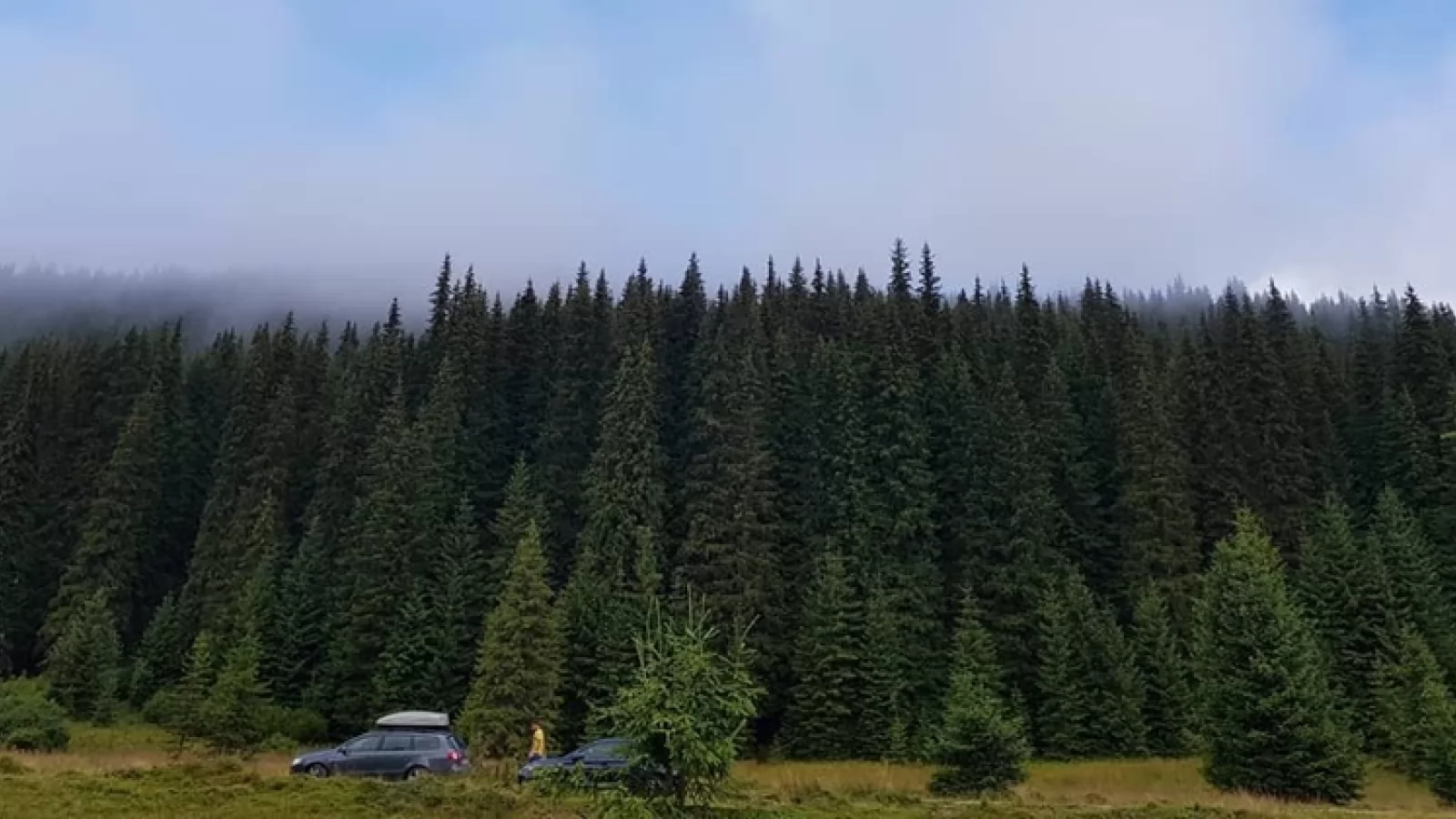 Care sunt subiectele preferate ale românilor pentru fotografii? Iată ce scoate la iveală provocarea OnePlus #TrueColors