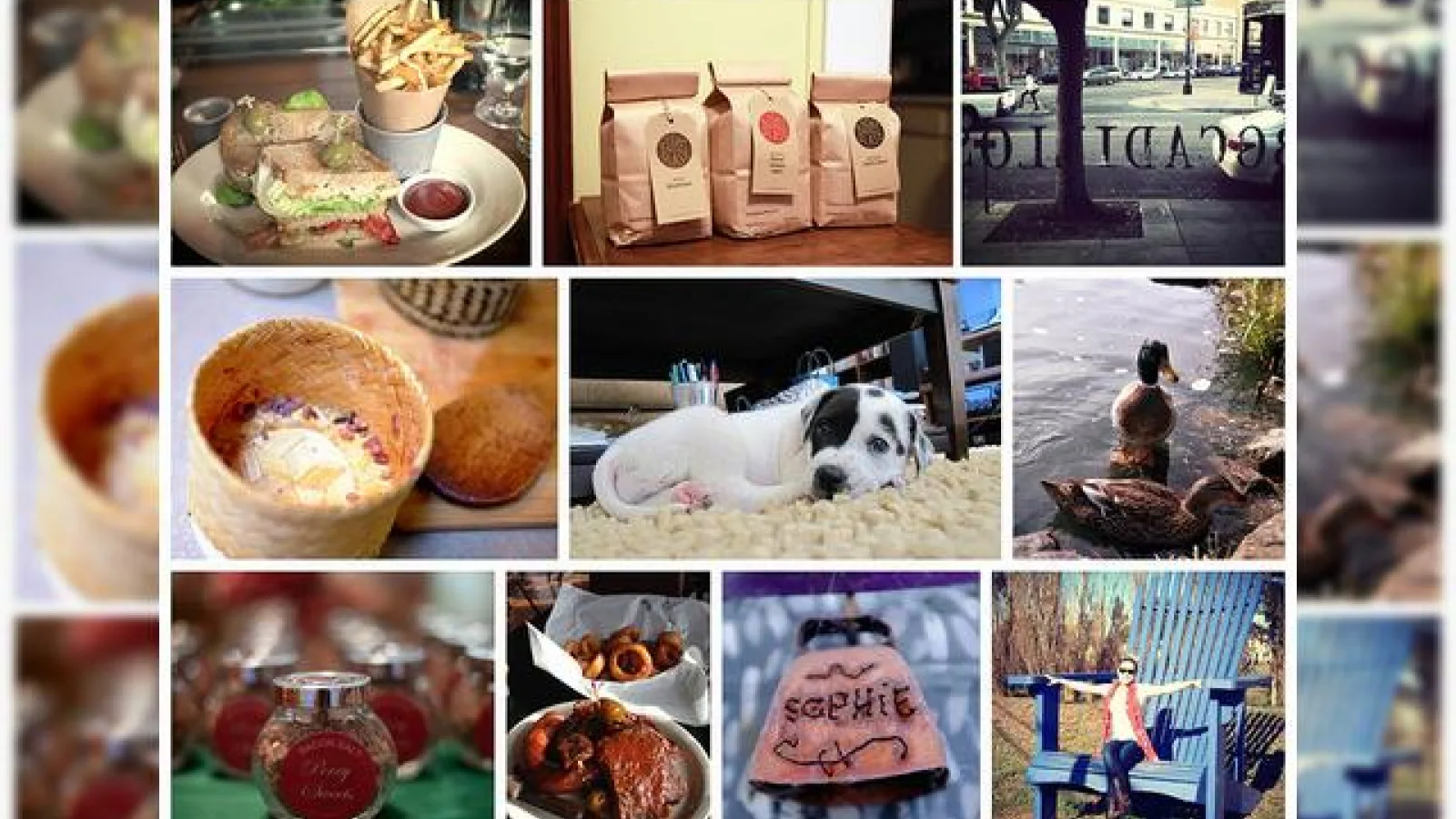 Yahoo anunță Îmbunătățiri aduse lui Flickr, se pregătește să cumpere Tumblr