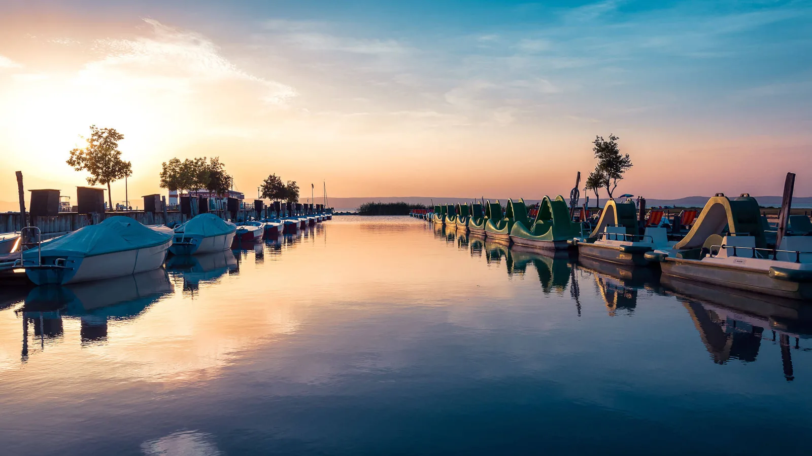 HUAWEI lansează proiectul TECH4ALL în Austria pentru protejarea biodiversității Lacului Neusiedl folosind tehnologie avansată