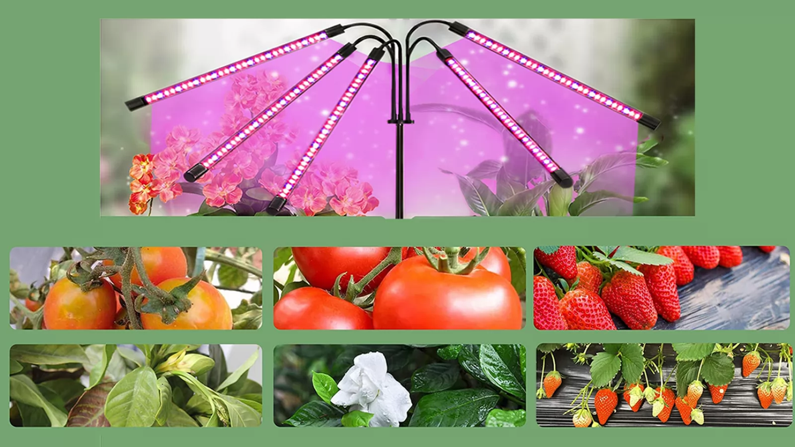 E LUNI e AMAZON: Azi vă recomandăm o lampă LED UV cu 5 capete ajustabile pentru creșterea plantelor la interior