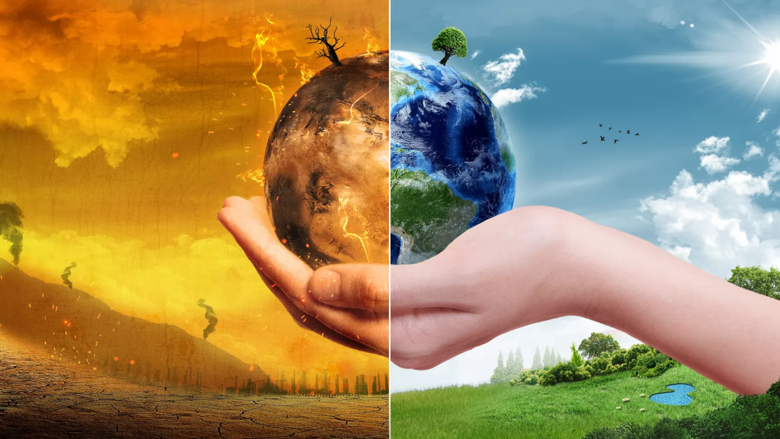 Huawei abordează schimbările climatice prin inovaţie tehnologică; Compania a oferit soluţii la COP26
