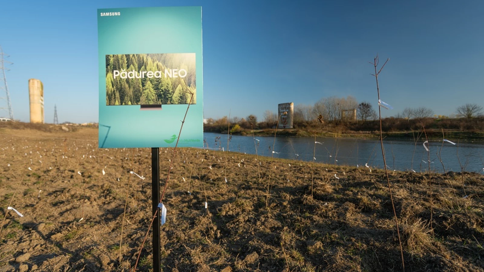 Samsung Neo Forest devine realitate; Prima pădure comunitară a fost înființată în Giurgiu, iar cutiile de televizoare au fost transformate în căsuțe pentru pisici
