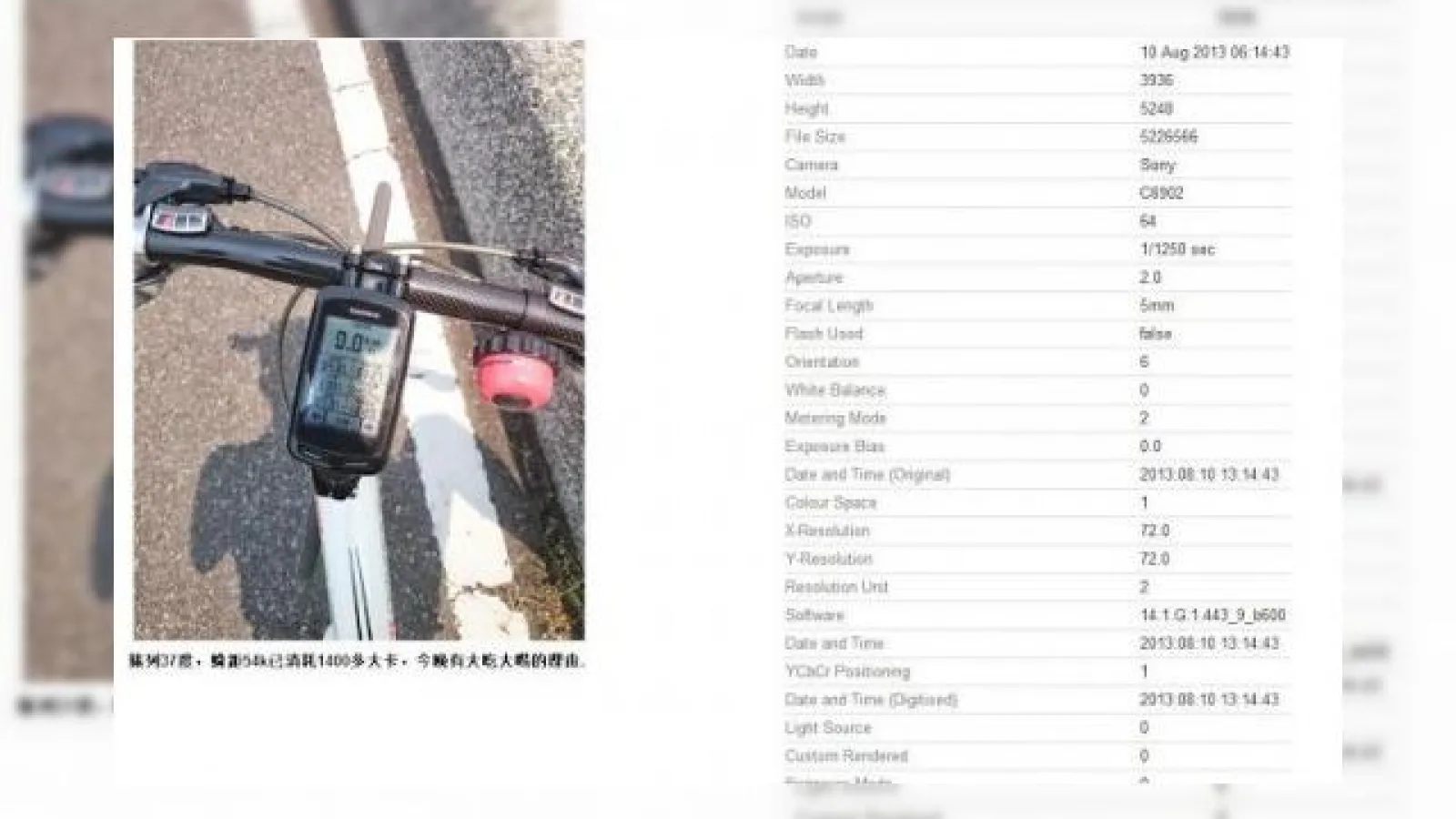 Prima captură foto cu camera lui Sony Honami apare pe web