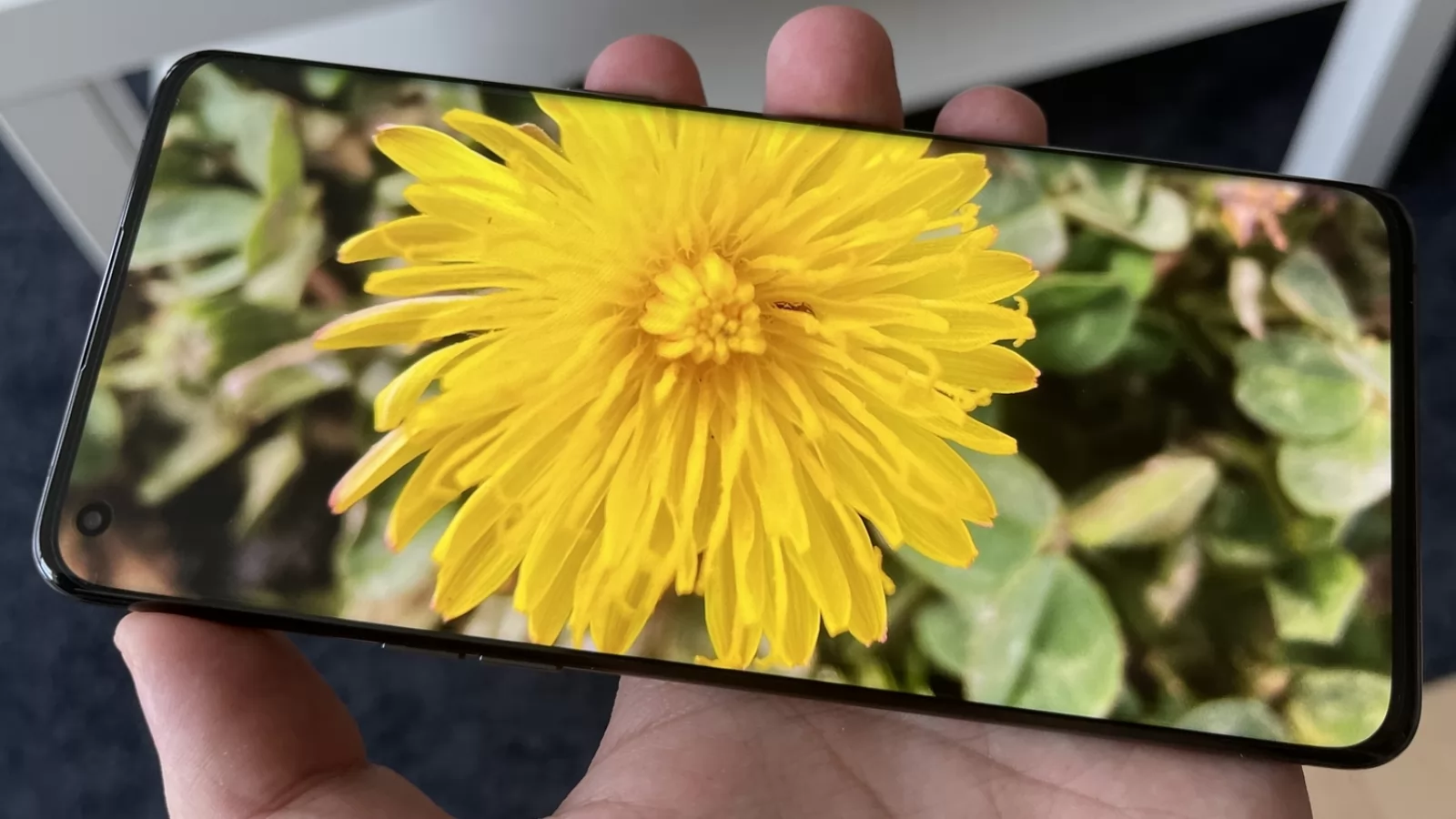 OPPO Find X5 Pro: Display foarte luminos, cu muchii înguste şi multe calibrări de culoare