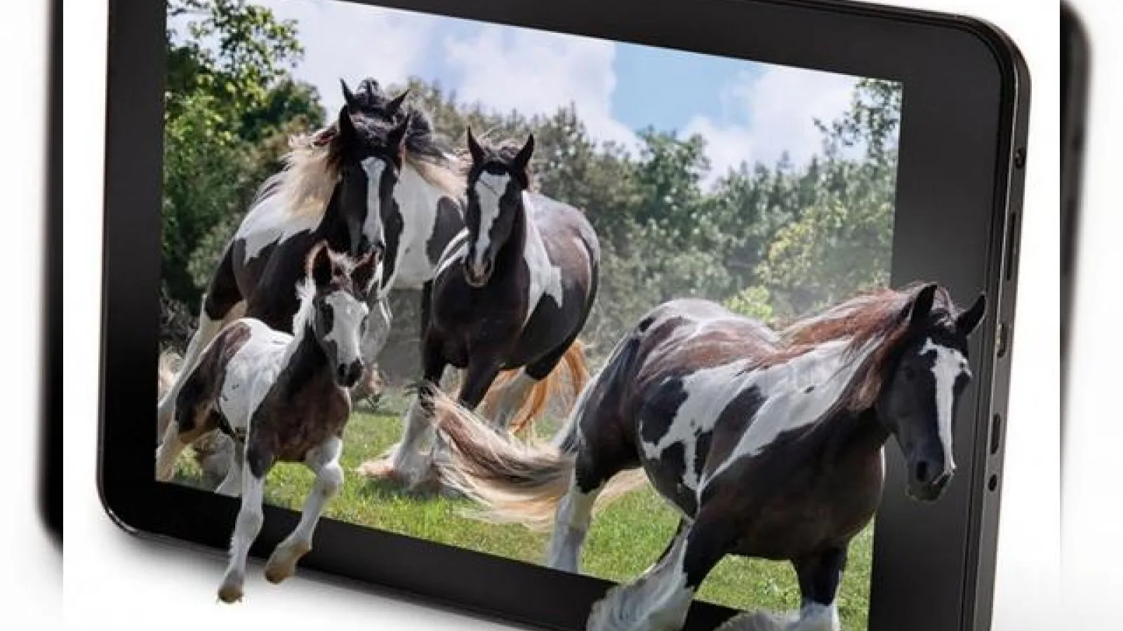 O nouă tabletă 3D cu ecran ce nu necesită ochelari speciali pentru vizualizare e acum disponibilă: Hammacher Schlemmer