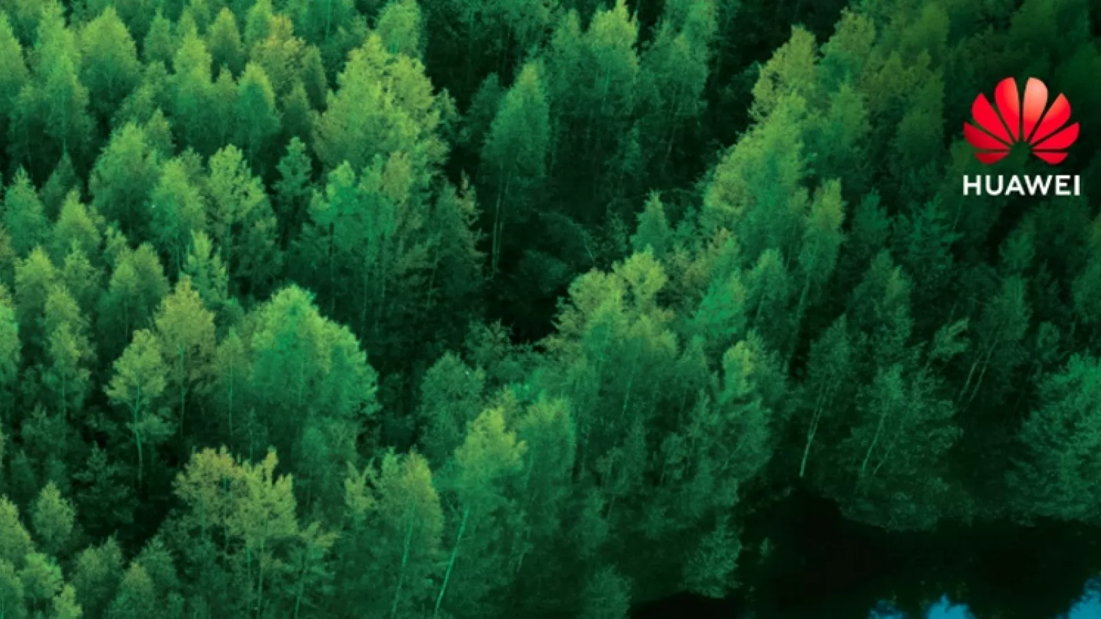 Huawei promovează energia regenerabilă și reducerea emisiilor de carbon, iar astfel contribuie la strategia verde UE pentru o Europă neutră din punct de vedere climatic