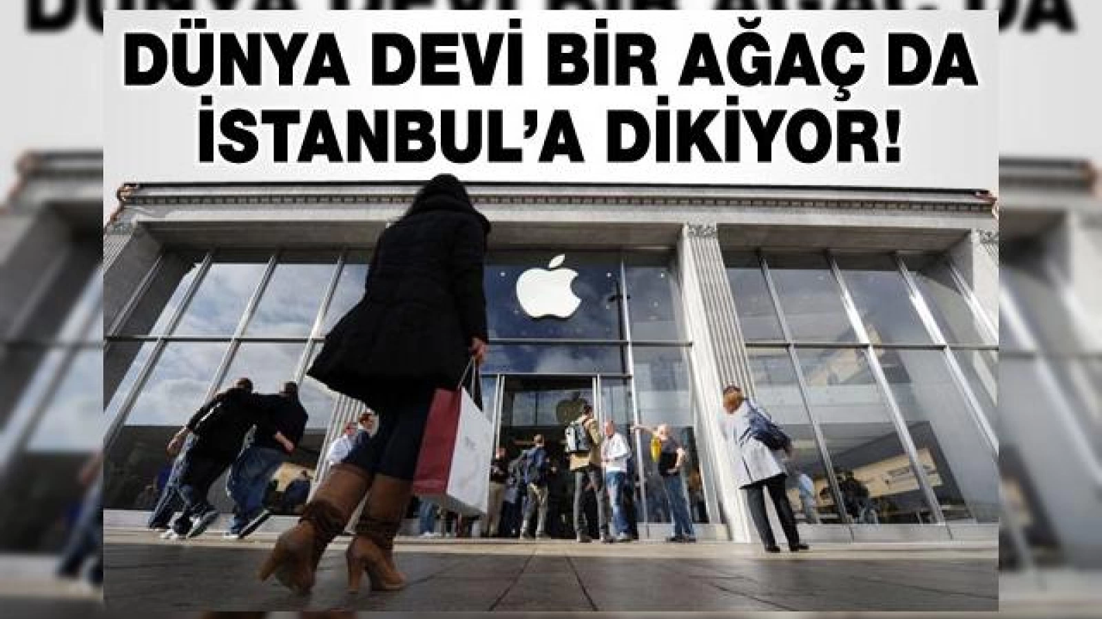 Apple Store unic construit la Istanbul! Vrem și În România!