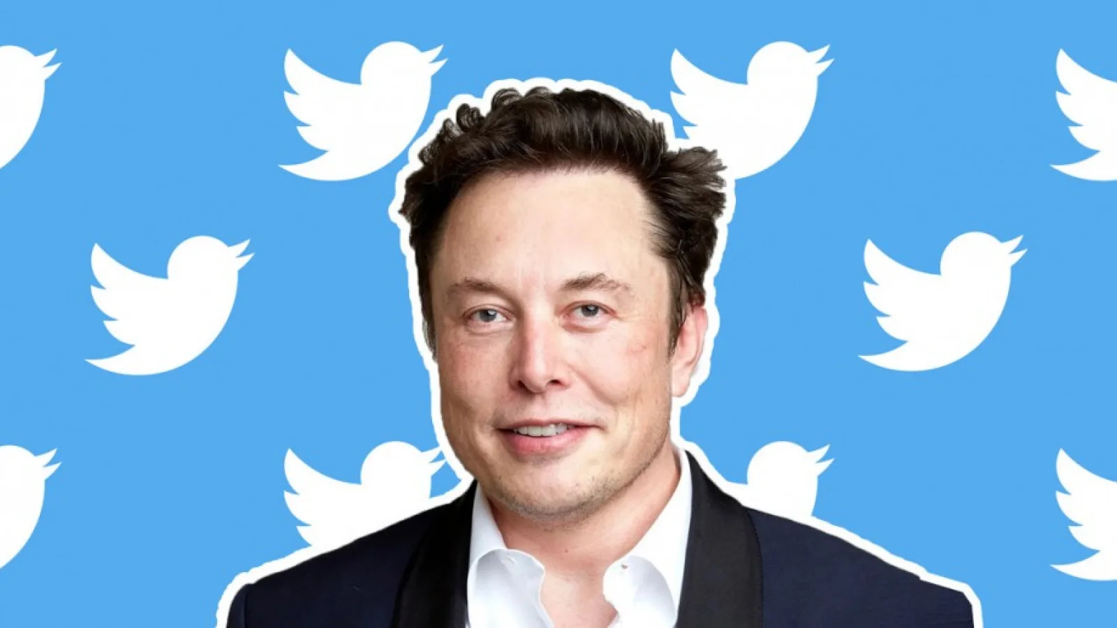Twitter ar putea declara falimentul, conform lui Elon Musk