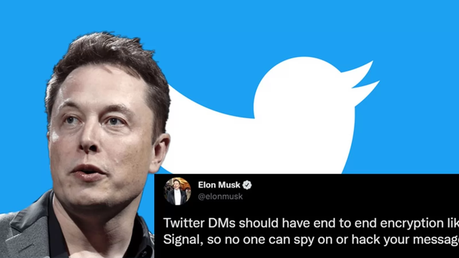 Twitter 2.0 va avea chat îmbunătăţit: apeluri video şi vocale, criptare pentru mesaje directe