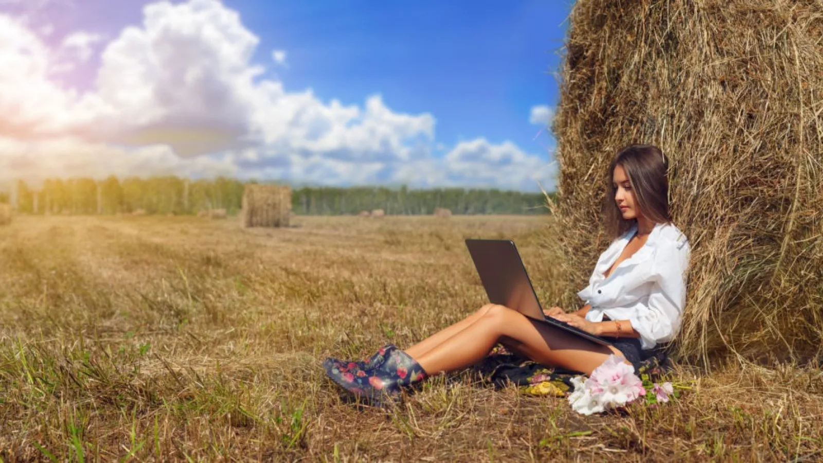 Peste 8 din 10 gospodării din România au acces la internet acasă în 2022; Creștere ușoară față de anul trecut, dar nu și în Muntenia
