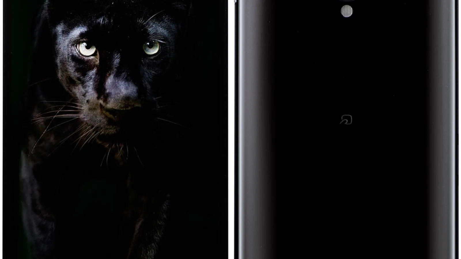 Sharp Aquos Xx 320Sh, telefonul cu displayul cel mai mare În relație cu dimensiunea carcasei! Edge-to-edge e aproape!