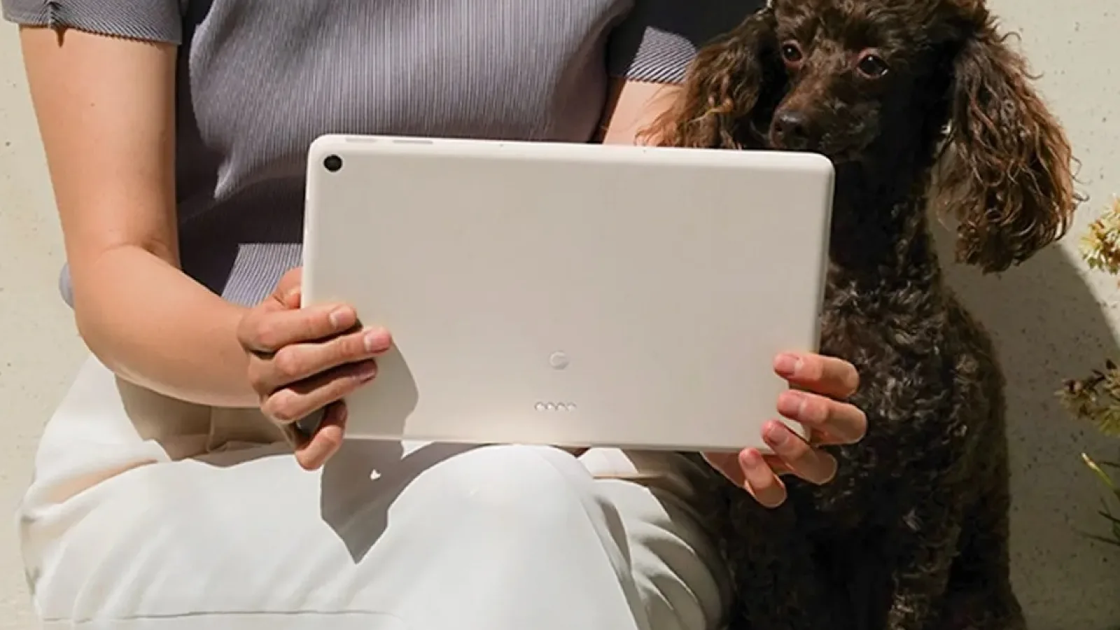 Noua tabletă Pixel pregătită de către Google ajunge la vânzare înainte de lansare pe Facebook; Are și dock!