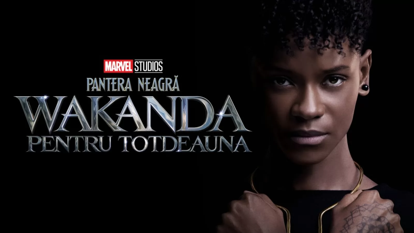 Pantera Neagră: Wakanda Pentru Totdeauna stabileşte un record de vizionare pe Disney+