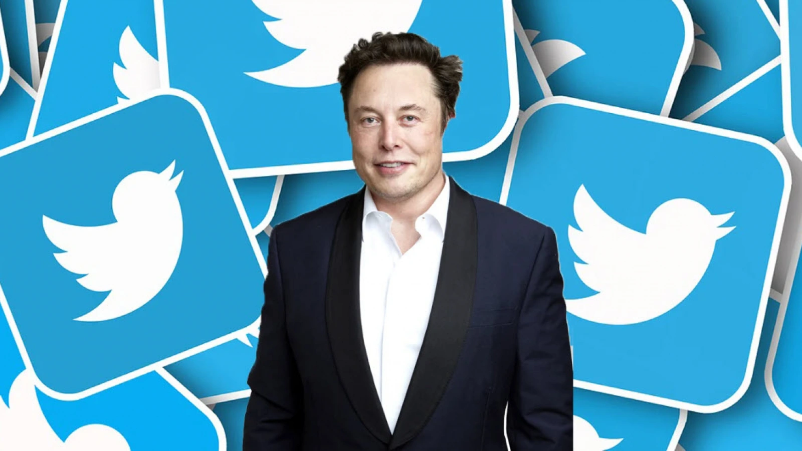Twitter are un bug care spamează utilizatorii cu tweet-urile lui Elon Musk