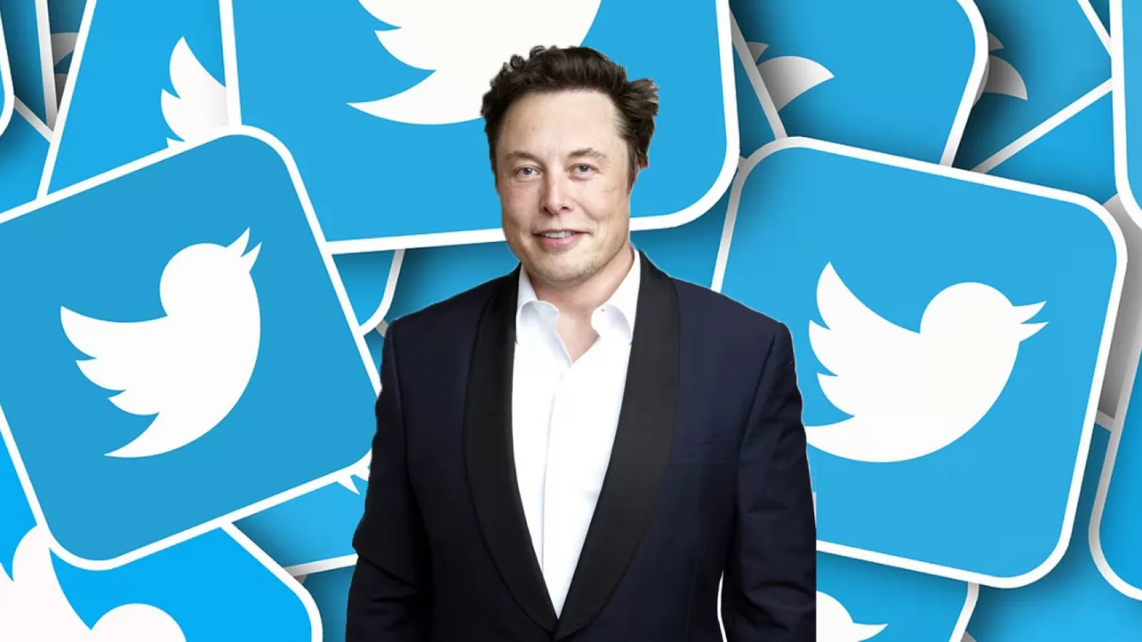 Twitter are un bug care spamează utilizatorii cu tweet-urile lui Elon Musk