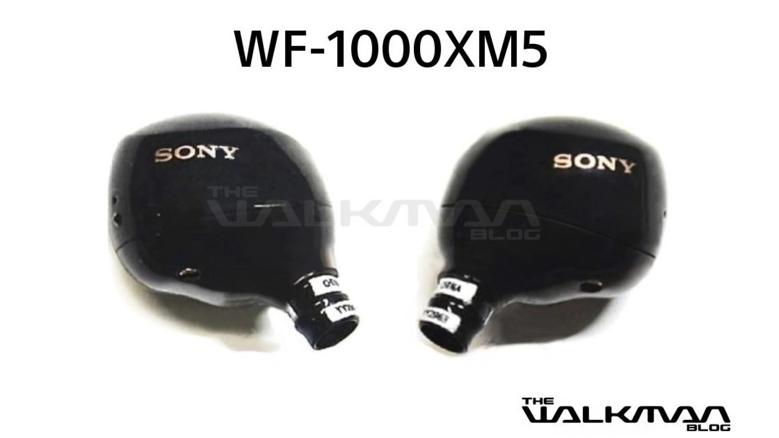 Căștile wireless Sony WF-1000XM5 primesc certificarea FCC; Apar în fotografii reale și par mult mai compacte față de predecesor