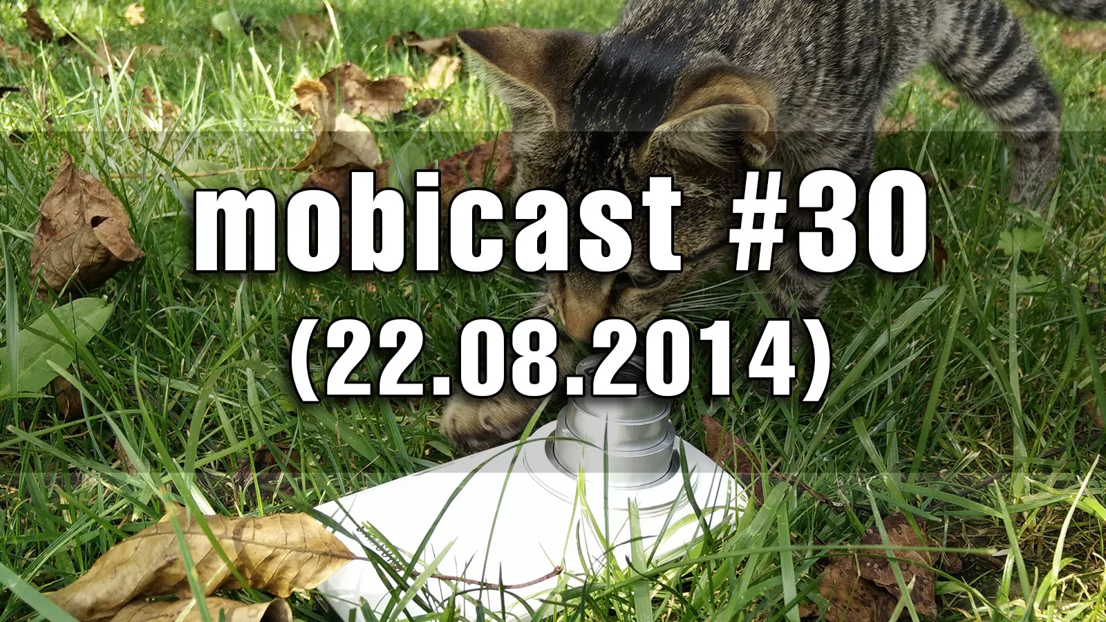 Mobicast 30: Podcast aniversar Mobilissimo.ro, axat pe Întrebări (peste 100!), 2 concursuri cu tablete premiu și Diverse (Video)
