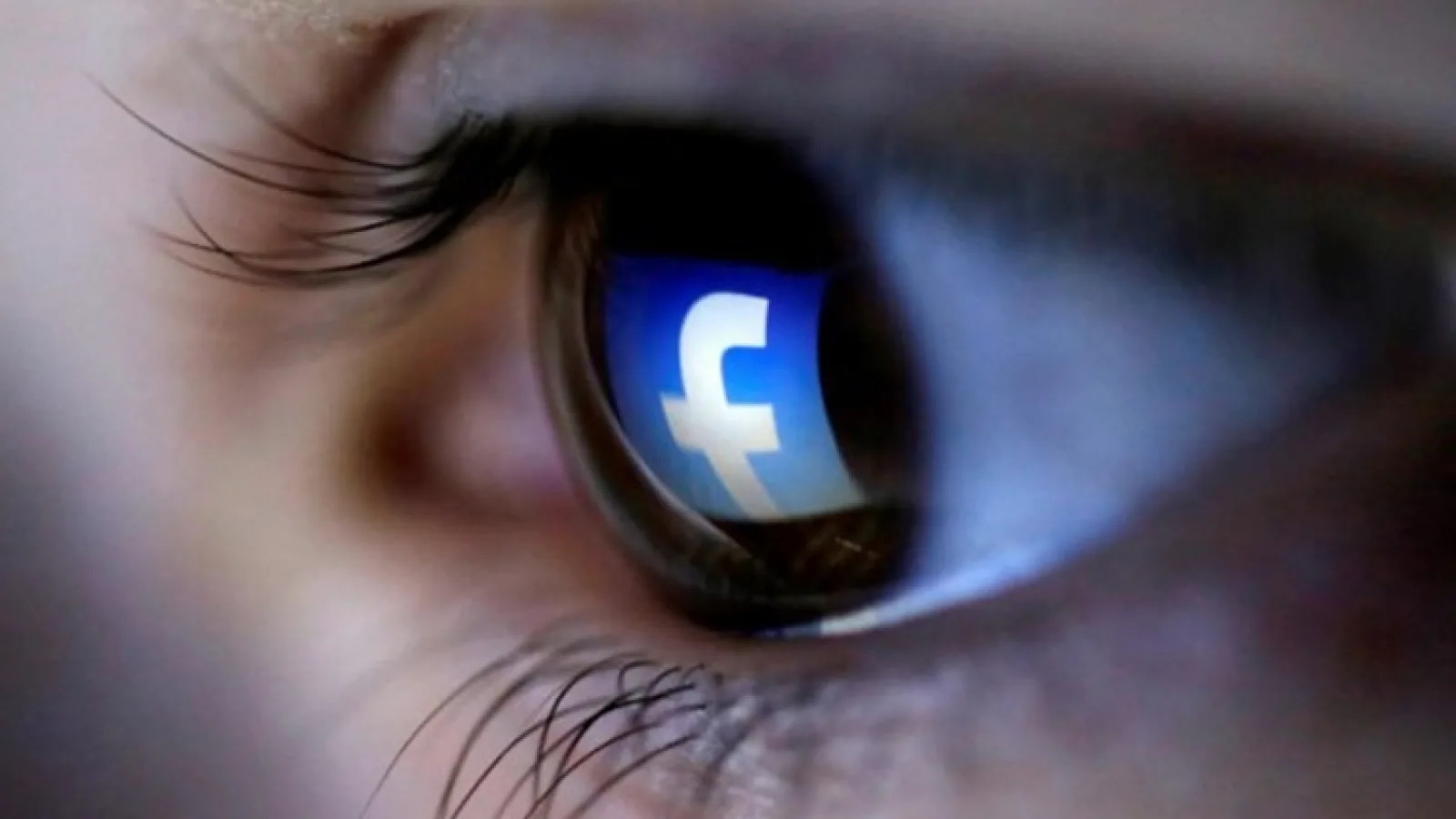 100.000 de copii hărțuiți zilnic pe Facebook, Instagram - conform Meta