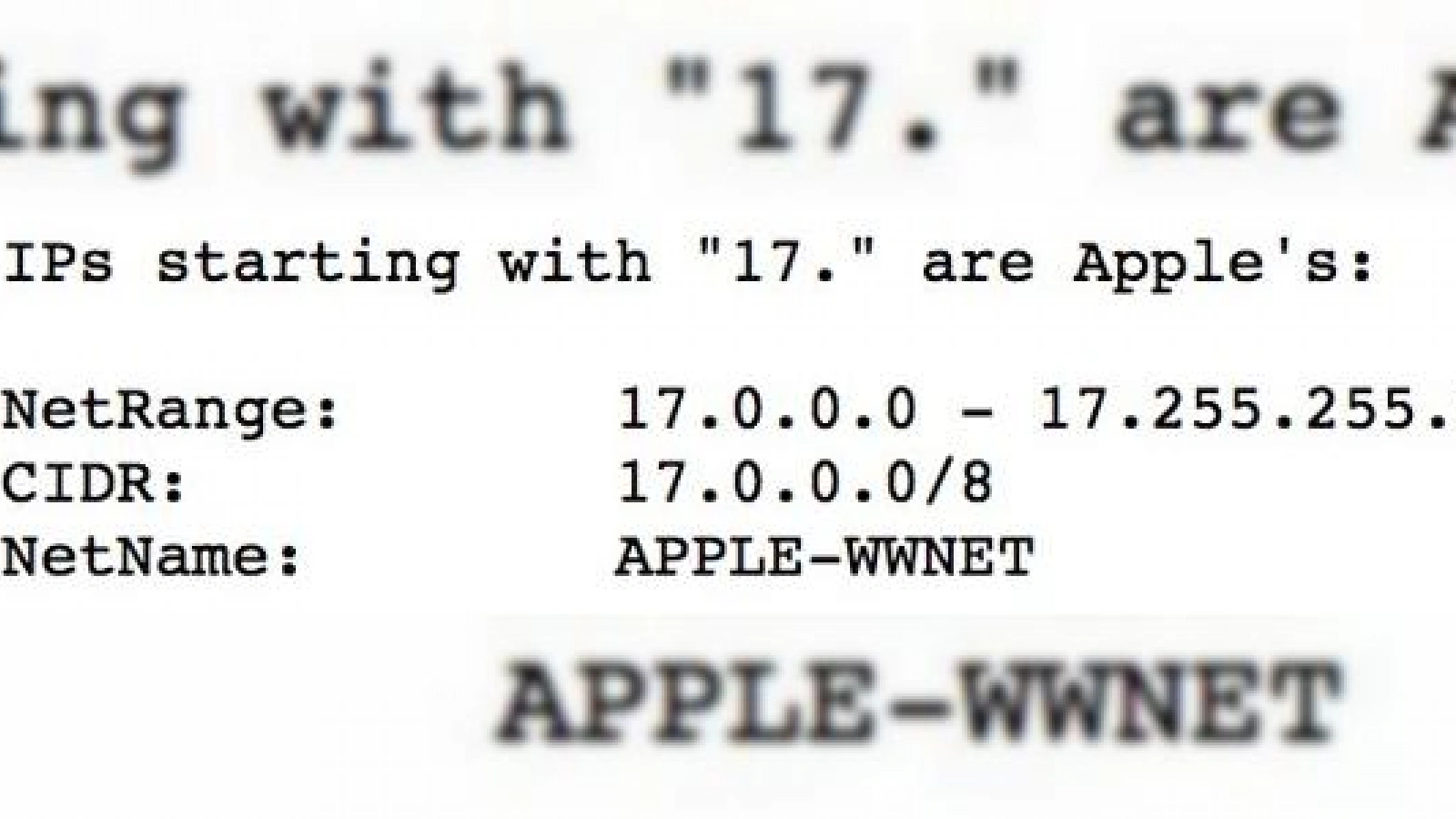 Apple pregătește propriul motor de căutare? Un web crawler al companiei din Cupertino a fost descoperit