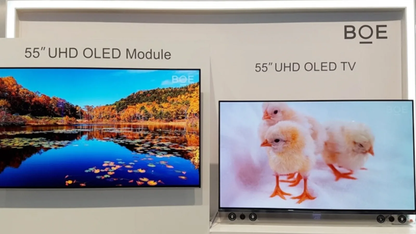 O nouă companie chineză MARE gata să fie interzisă în SUA: BOE nu mai are voie în SUA 14 ani