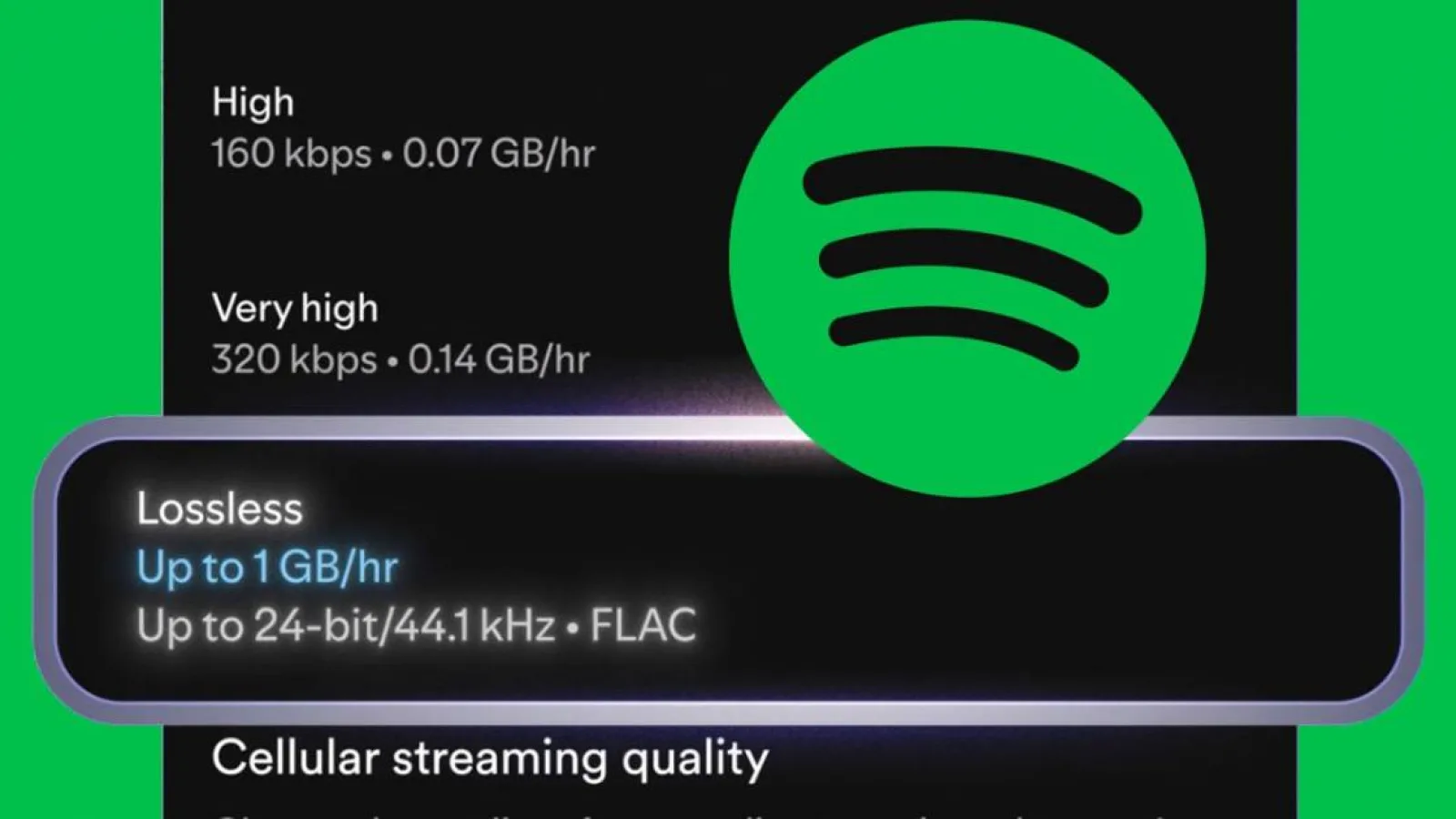 Spotify aduce muzica lossless și în România; Format FLAC disponibil în aplicație pentru abonații Premium
