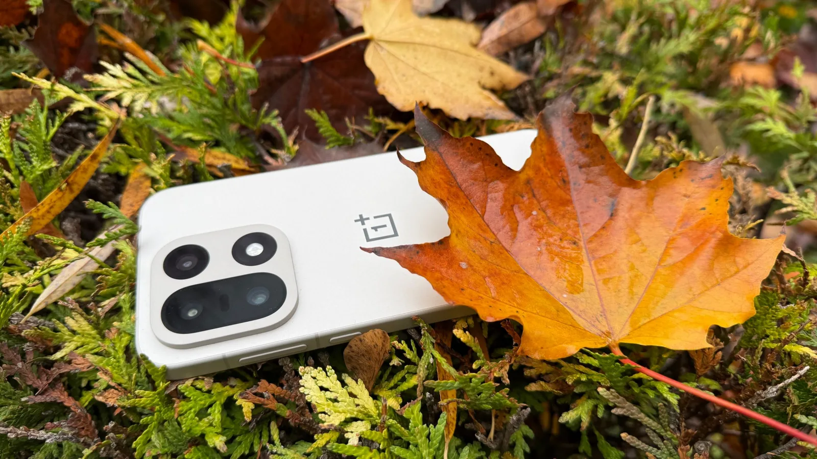 OnePlus 15: Camera de high midrange, se descurcă bine în tărâmul bomboanelor