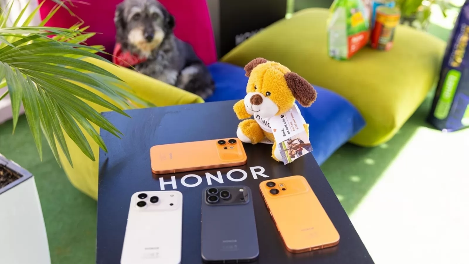 HONOR 600 vrea să aducă dotări de flagship la un preț mai ușor de digerat