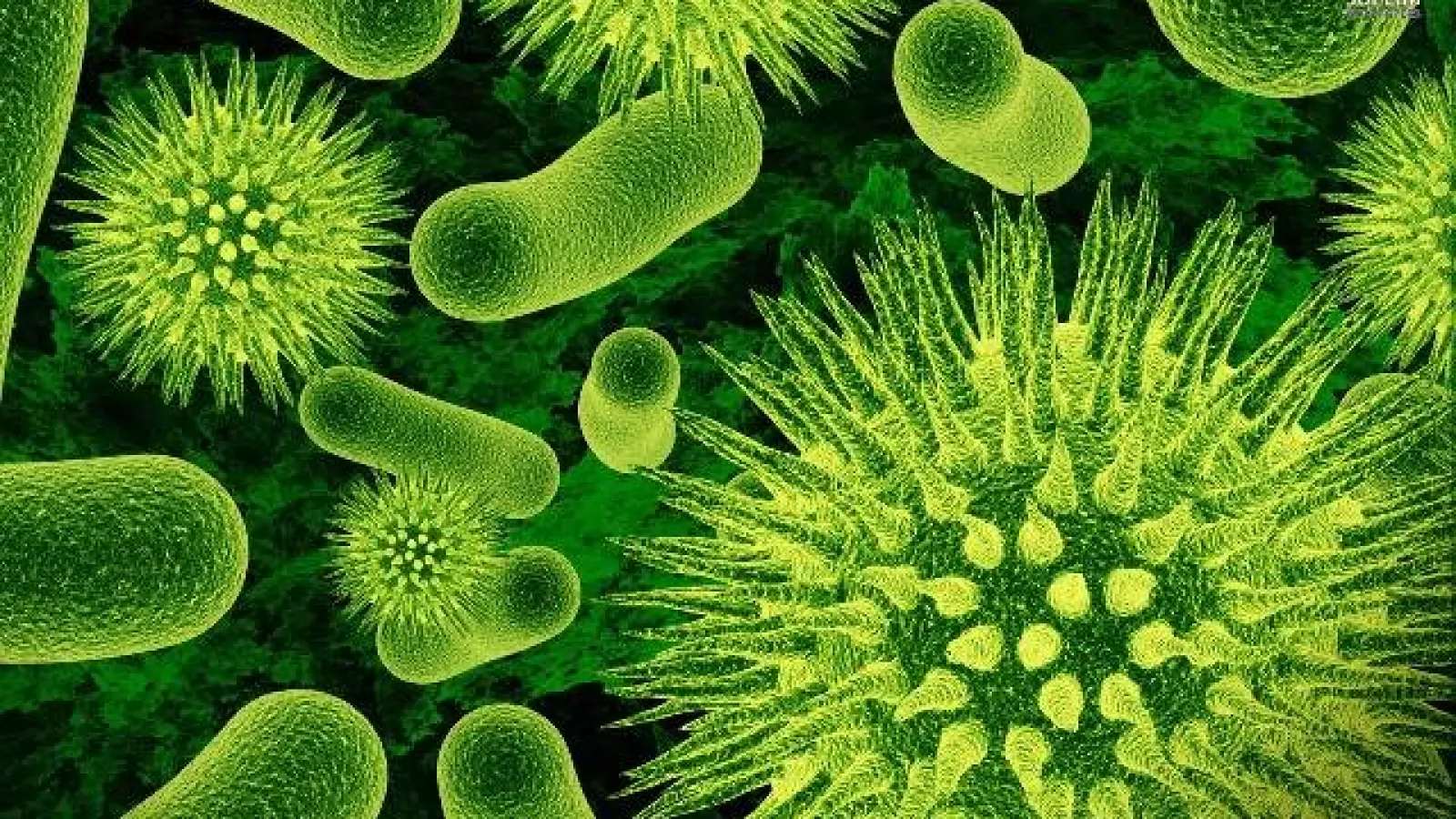 BlackBerry pregăteşte un telefon rezistent la bacterii, destinat spitalelor