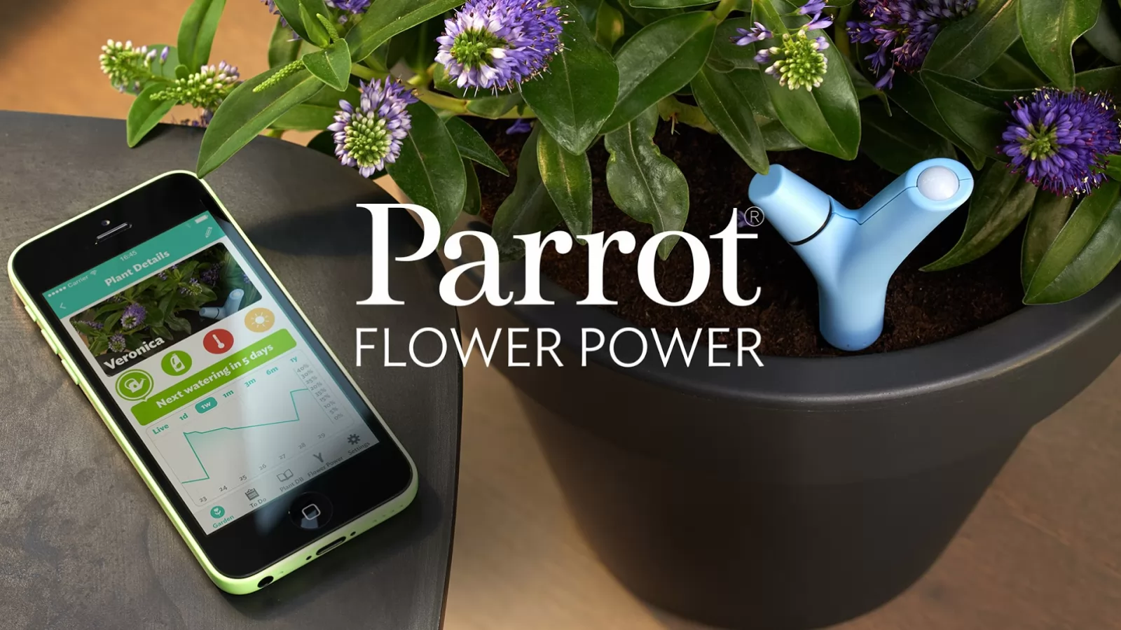 Parrot Flower Power, unealta de nădejde a agricultorilor ajunge la eMAG