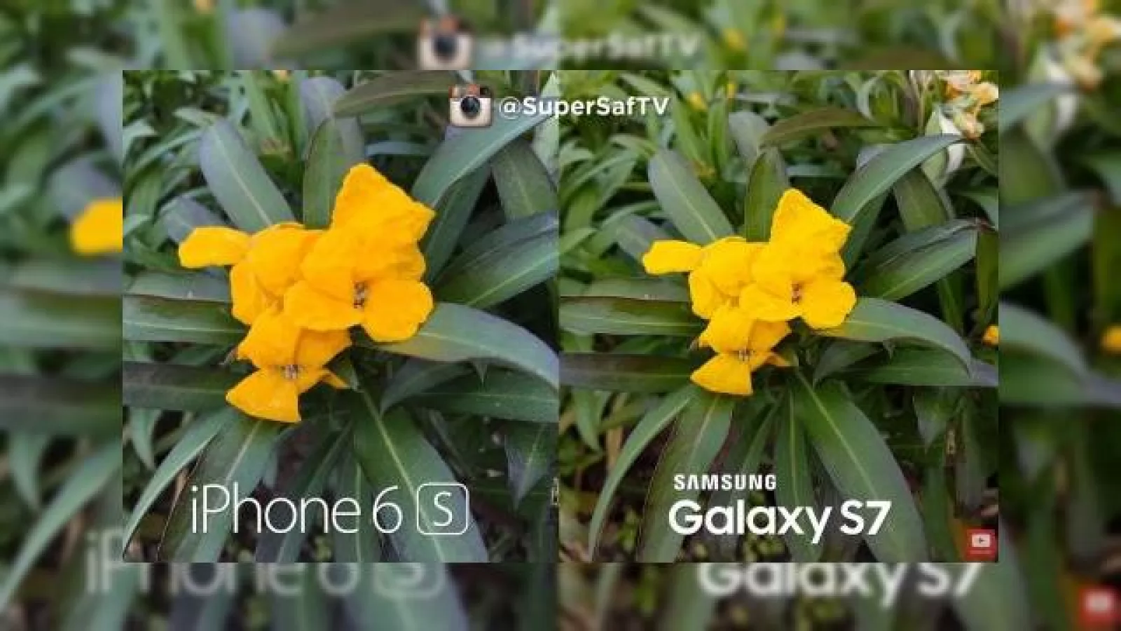 Samsung Galaxy S7 se duelează cu iPhone 6s şi 6s Plus într-un mega test de cameră; Iată cine câştigă! (Video)