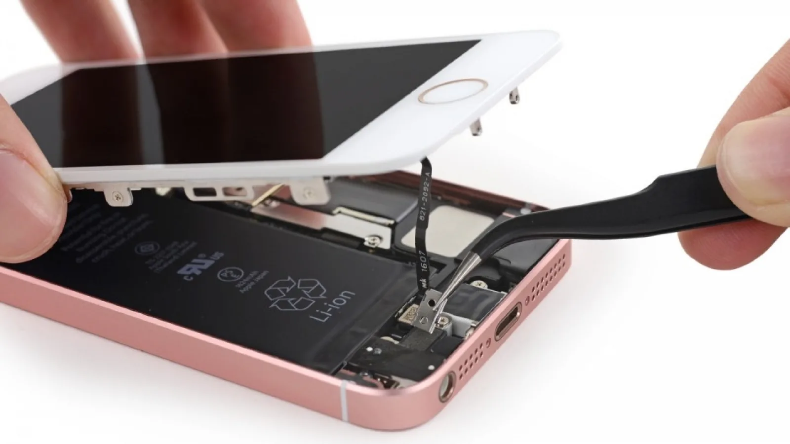 Disecția lui iPhone SE scoate la iveală prezența a numeroase componente identice cu cele de pe modelul 5S