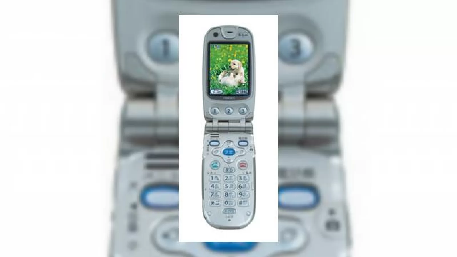 Vorbeste cu incetinitorul cu telefonul Raku-Raku