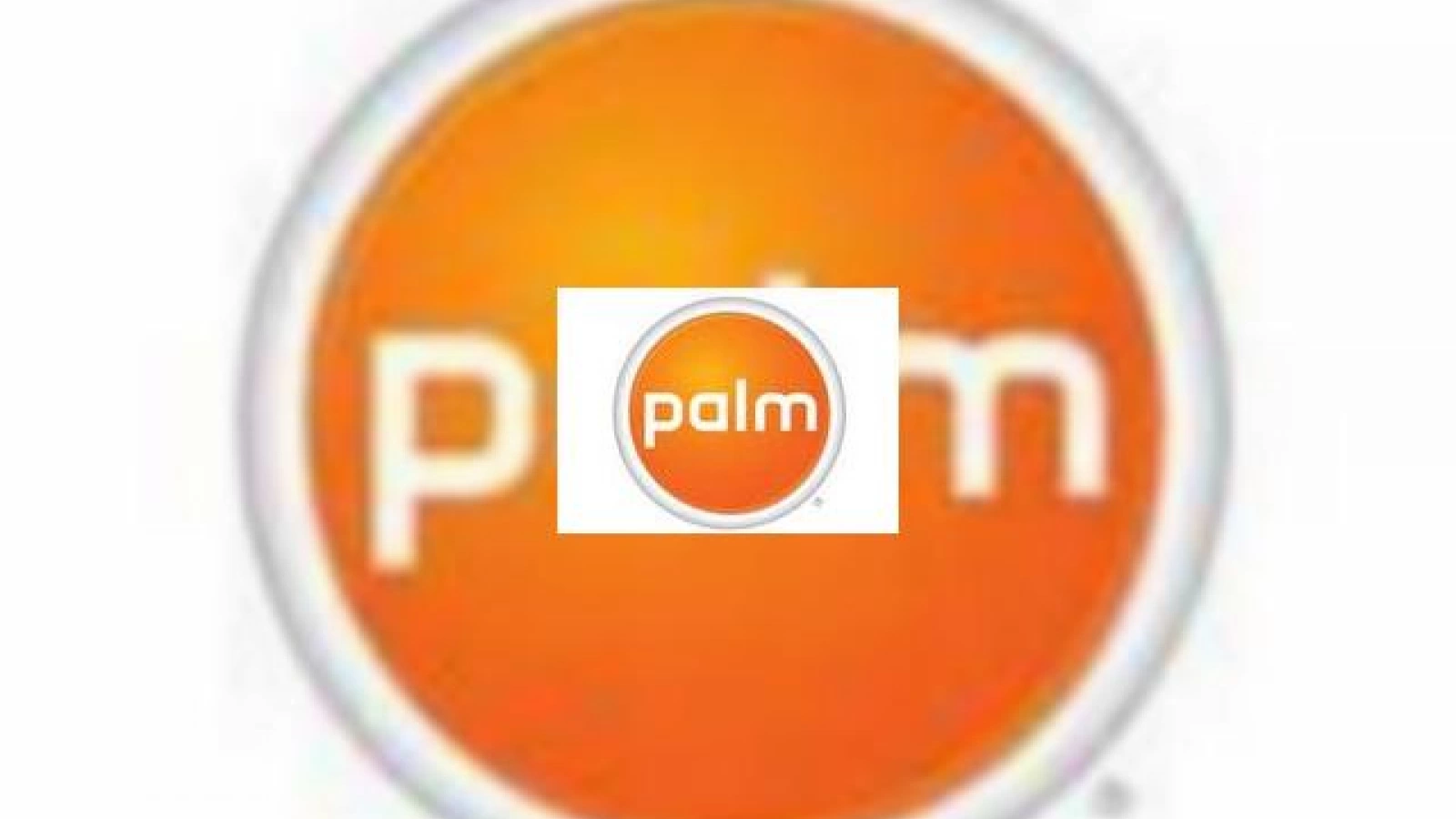 Palm de vanzare!