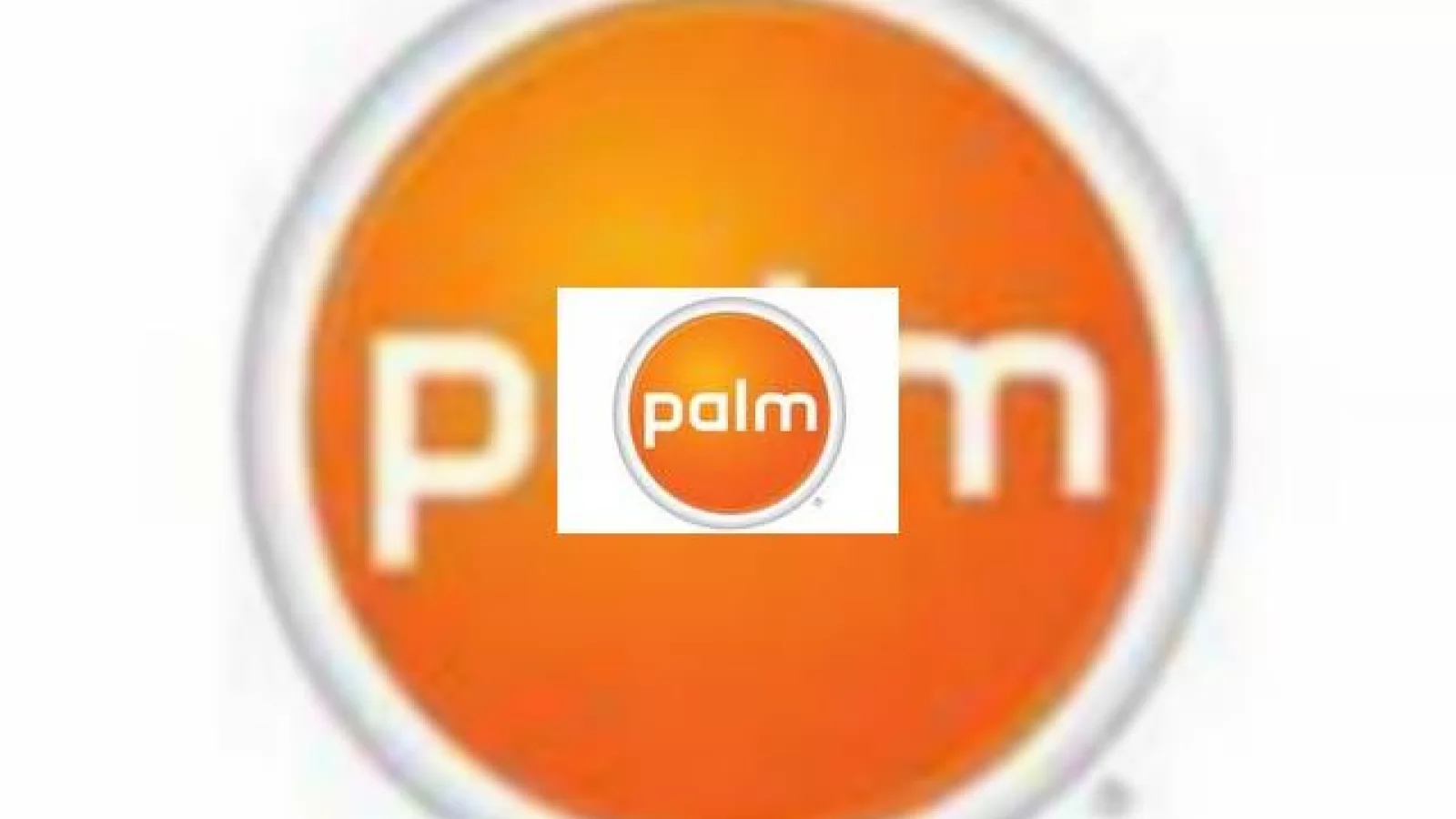 Palm de vanzare!