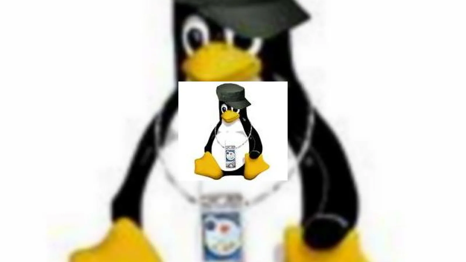 Sute de milioane de telefoane cu Linux in viitor