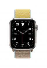 Apple Watch Edition Series 5