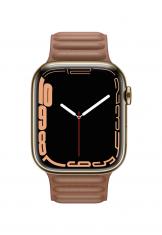 Apple Watch Series 7 45mm LTE