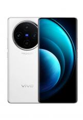 vivo X100
