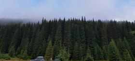 Care sunt subiectele preferate ale românilor pentru fotografii? Iată ce scoate la iveală provocarea OnePlus #TrueColors
